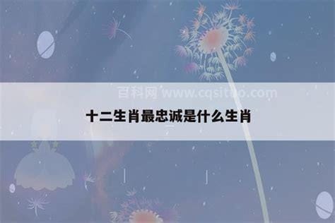 一呼百应是什么生肖