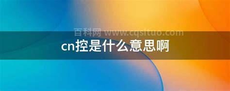 cn控是什么意思啊