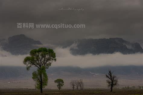 野旷天低树 江清月近人的意思