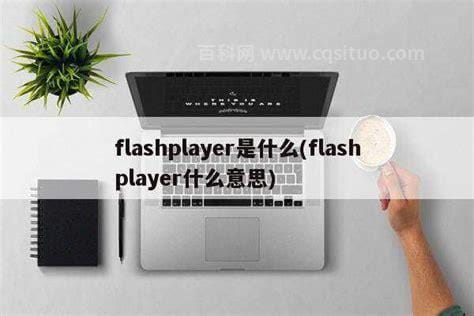 flashplayer什么意思