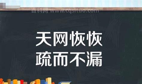 天网恢恢的下一句