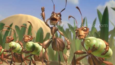 有什么关于蚂蚁的电影