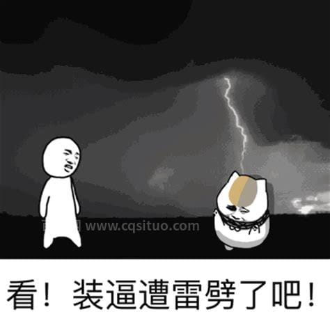 被雷到了’是什么意思