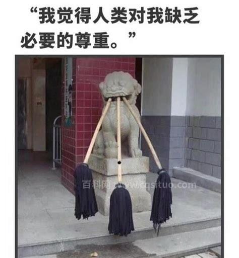 py是什么意思