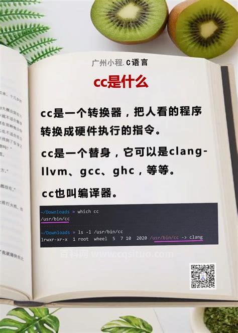 cc是什么意思