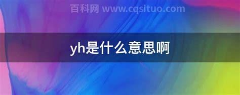 yh是什么意思啊