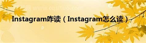 instagram怎么读