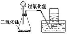 过氧化氢分解