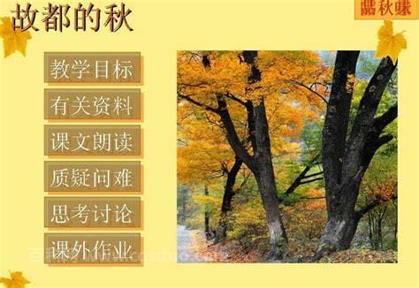 一什么知秋四字词语