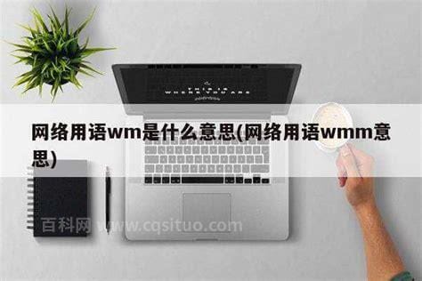 wm是什么意思