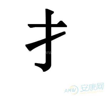 提手字旁的字有哪些