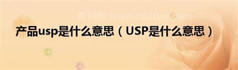 usp是什么意思