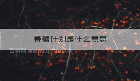 春蕾计划是什么意思