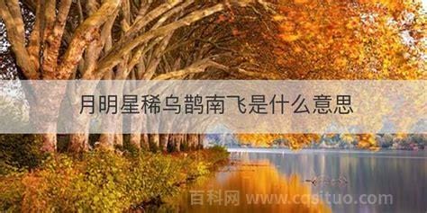 月明星稀乌鹊南飞意思