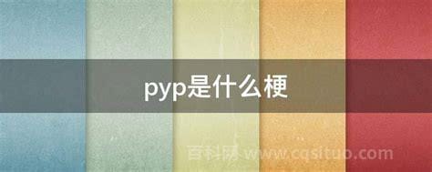 pyp是什么梗