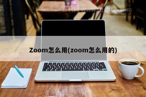 zoom怎么用