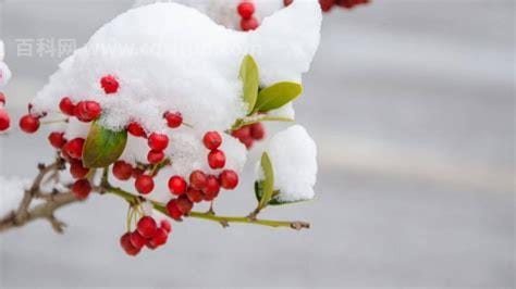 初雪的寓意