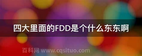 四大里面的FDD是个什么东东啊