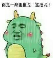 宝批龙是什么意思