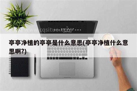 亭亭净植的亭亭什么意思