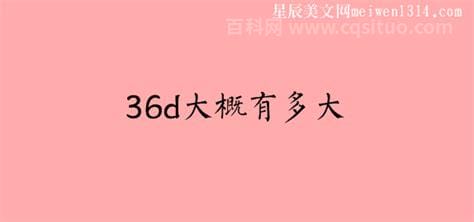 36d是多大