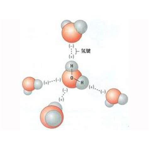 氢键是什么