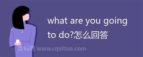 whatdoyoudo怎么回答