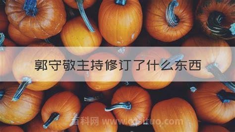 郭守敬主持修订了什么东西