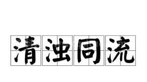 清浊合流打一成语