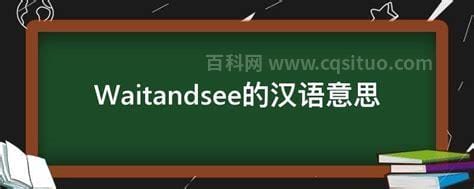Waitandsee的汉语意思