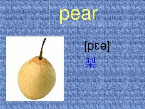 pear怎么读