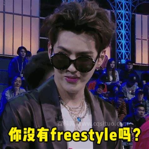 你有freestyle吗是什么意思