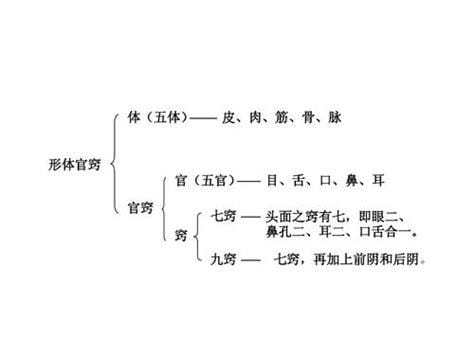 eq指的是什么