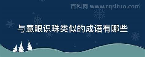 与慧眼识珠类似的成语有哪些