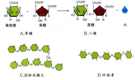 常见的还原糖七种