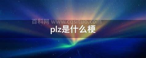 plz是什么梗