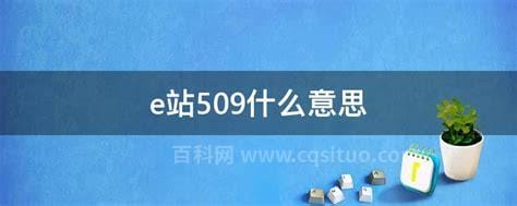 e站509什么意思