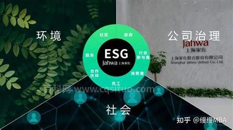 esg是什么意思啊