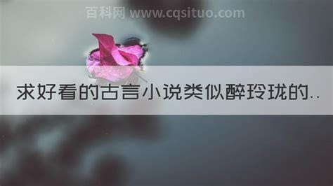 求好看的古言小说类似醉玲珑的