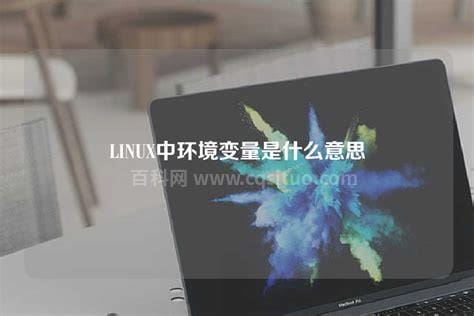 环境变量是什么意思