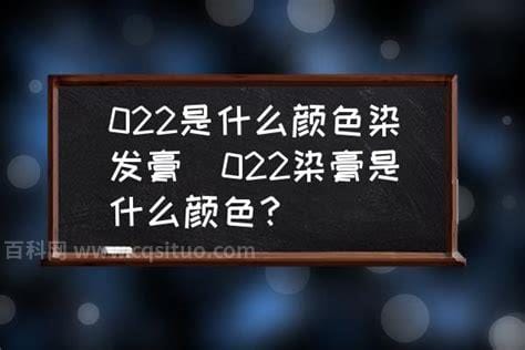 022是什么意思