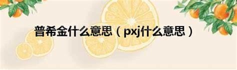 pxj什么意思