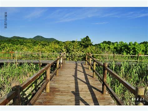 珠海淇澳岛(珠海淇澳岛红树林)