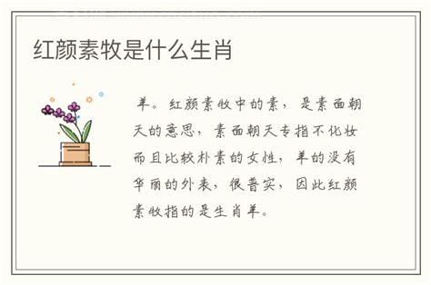 红颜素妆指什么生肖（红颜素妆指什么生肖）