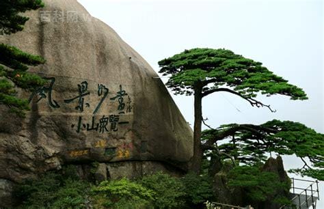 黄山四绝分别是什么 黄山四绝是什么东西