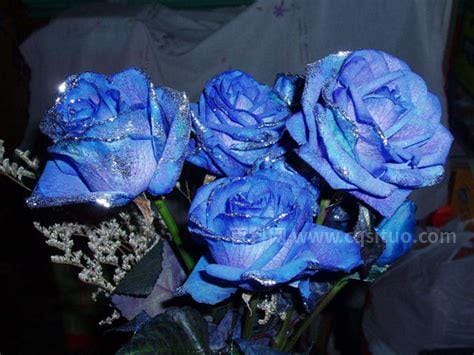 蓝玫瑰代表花语（蓝玫瑰的花语和象征意义）