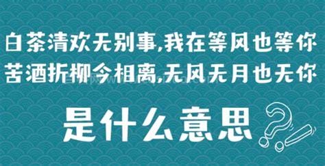 等风也等你的完整一句