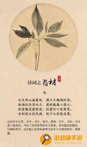 剑三诗词与药材（剑三洛阳诗词与药材