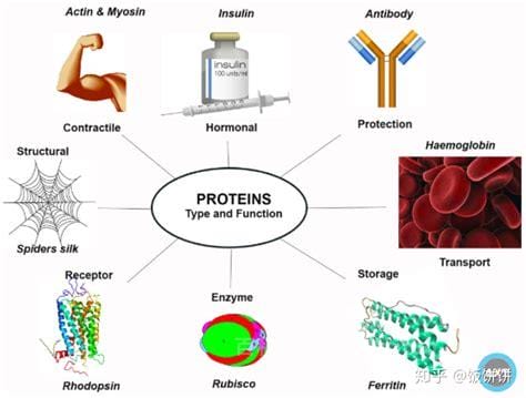 蛋白质组学技术(蛋白质组学技术有哪些)