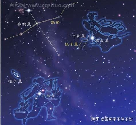 牛郎星是属于什么星座(牛郎星是属于什么星座)